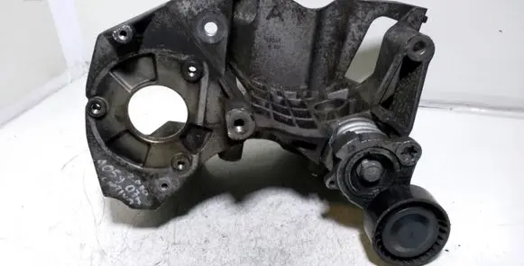 Chevrolet Captiva Fuel pump bracket 96440531