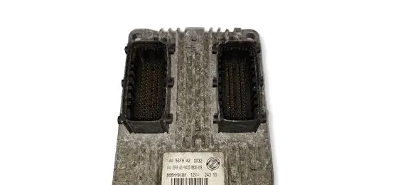 Fiat Punto (199) Engine control unit/module 51868974 0100456C 866HH9X8K