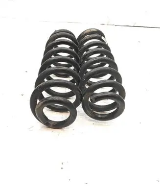 Opel Insignia B Rear coil spring AA6K