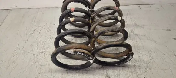 Mitsubishi Grandis Rear coil spring