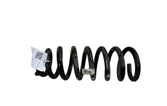 Rear coil spring