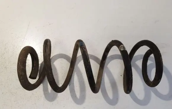 Rear coil spring