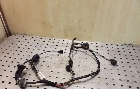 Rear door wiring loom