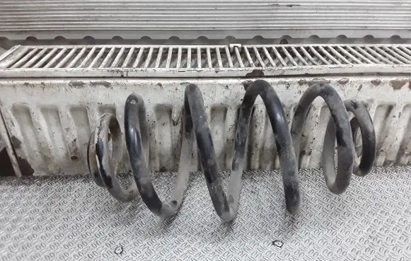 Volkswagen PASSAT B5 Rear coil spring
