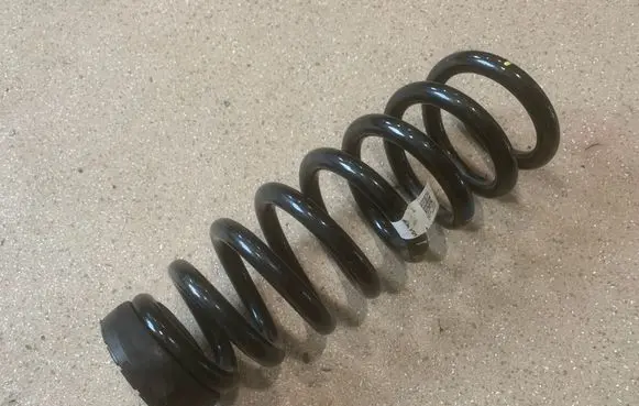 Rear coil spring