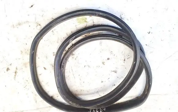 Renault Zoe Rubber seal front coupe door 