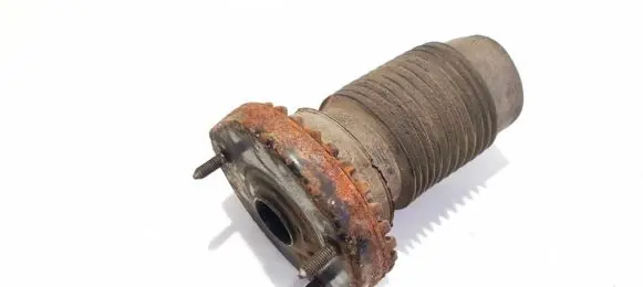 Coil spring mount