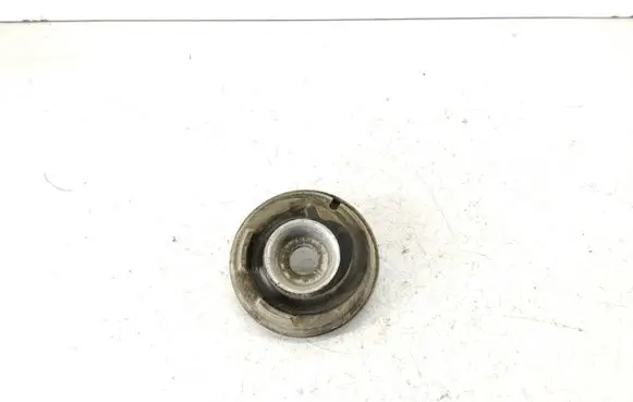 Coil spring mount