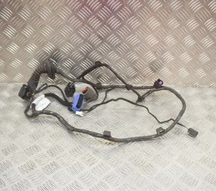 Maserati Quattroporte Other wiring loom 06700075120 6700075120