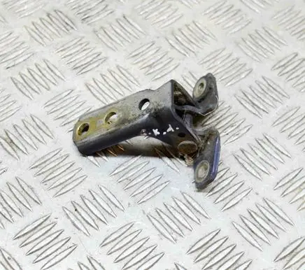 Rear door lower hinge