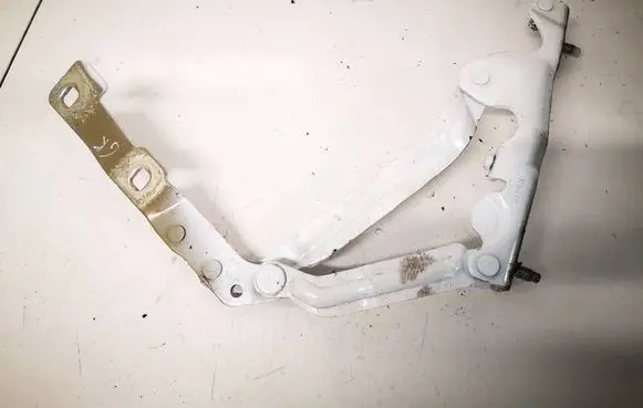 Tesla Model 3 Tailgate/trunk/boot hinge LH2315H
