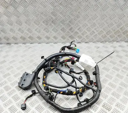 Aston Martin DBX Front door wiring loom PY8314631CA