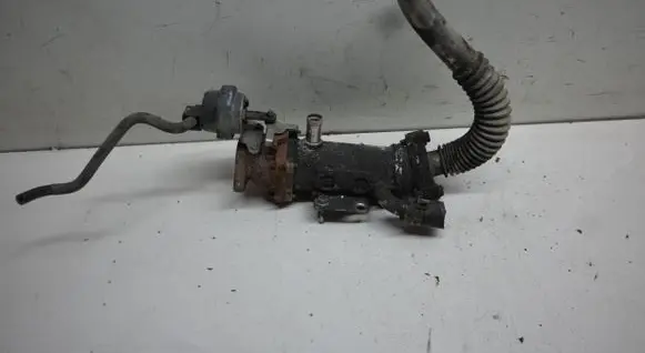 EGR valve cooler