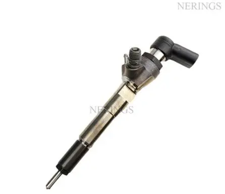 Citroen C5 Fuel injector 5WS40536