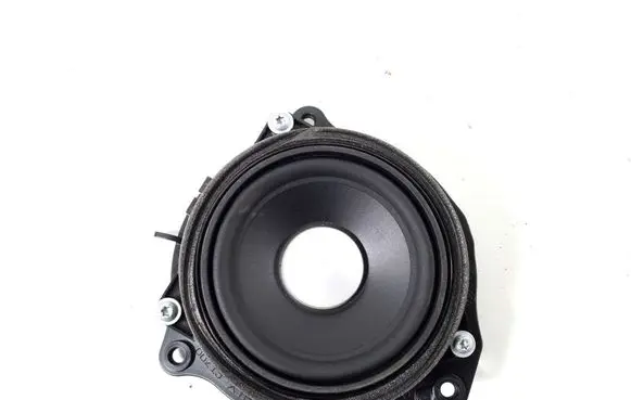 Rear door speaker