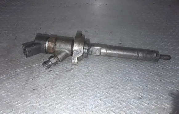 Volvo V50 Fuel injector 0445110259