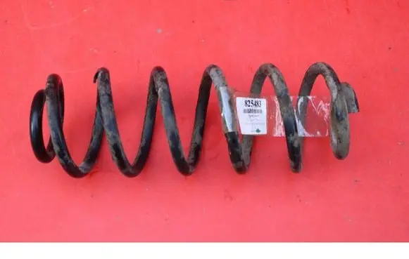 Volkswagen PASSAT CC Rear coil spring
