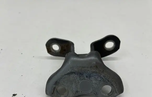 Toyota C-HR I Front door lower hinge 