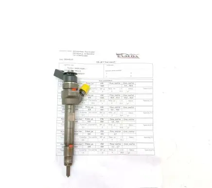 BMW X1 E84 Fuel injector 779844604 0445110289