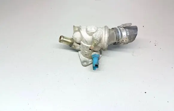 Thermostat/thermostat housing