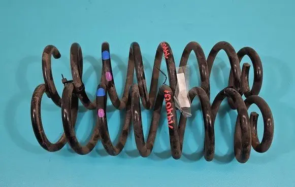Rear coil spring