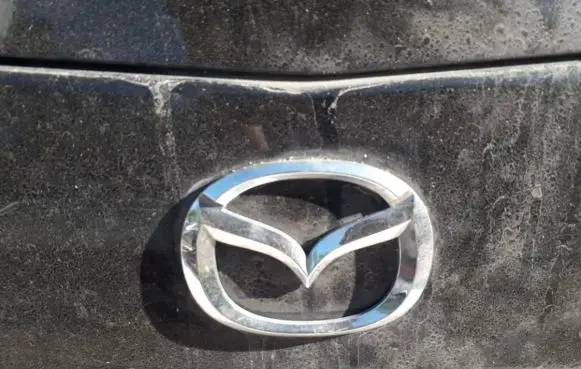 Mazda Premacy Manufacturer badge logo/emblem 
