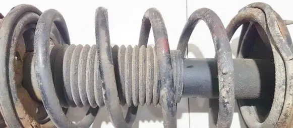 Front coil spring