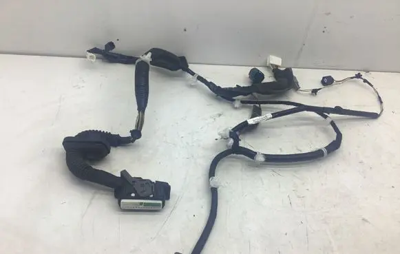 Nissan Leaf II (ZE1) Front door wiring loom 241245SH0A 04SE018