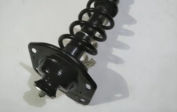 Chevrolet Camaro Rear shock absorber with coil spring 75424264