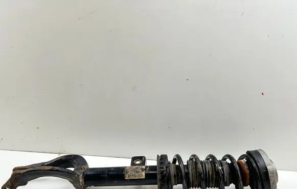 Front shock absorber with coil spring