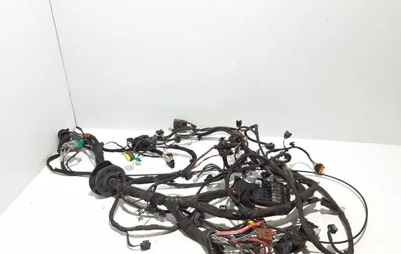 Renault Scenic IV - Grand scenic IV Other wiring loom 403885620R