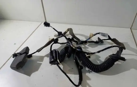 Renault Zoe Wiring harness 241258488R