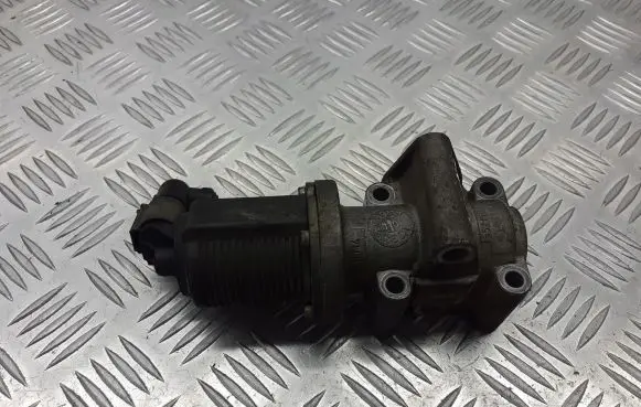 Opel Vectra C EGR valve 55215031