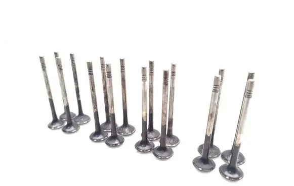 Volkswagen PASSAT B7 Valve 16PSC