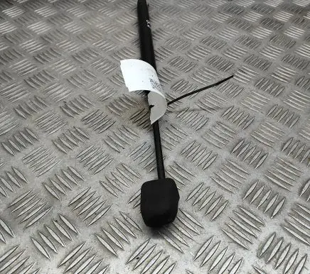 Chevrolet Corvette C6 Tailgate/trunk strut/damper 10380000