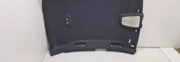 Audi A4 S4 B9 Headlining 8W5867506B