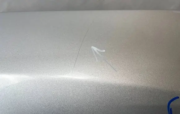 Ford Focus Fender
