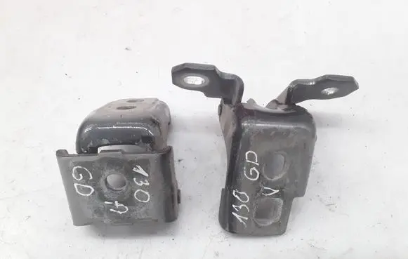 Renault Megane III Rear door hinge set 804000016RF