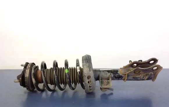 Honda Civic IX Front shock absorber with coil spring