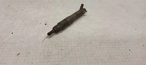 Seat Ibiza II (6k) Fuel injector 038130201G