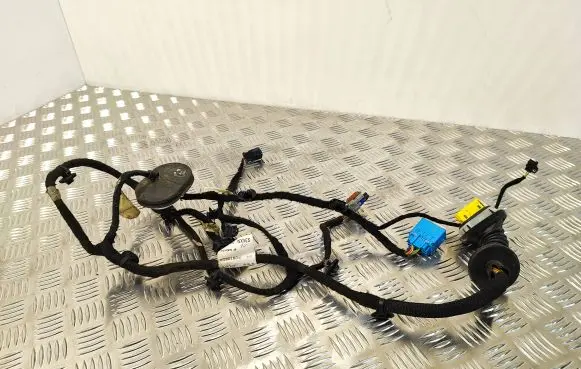 Citroen DS7 Crossback Rear door wiring loom 9826016080