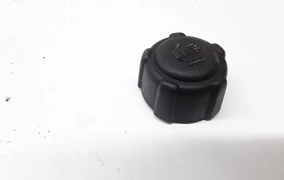 Renault Espace - Grand espace IV Coolant expansion tank/reservoir cap 