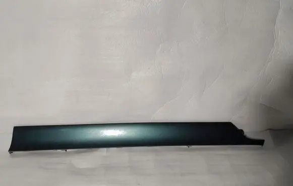 KIA Carnival Sliding door trim (molding) 