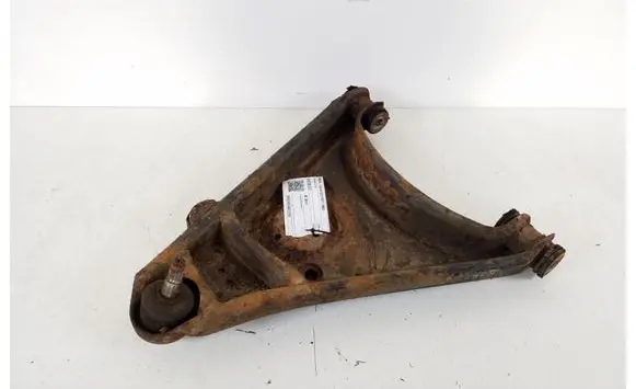Front lower control arm/wishbone