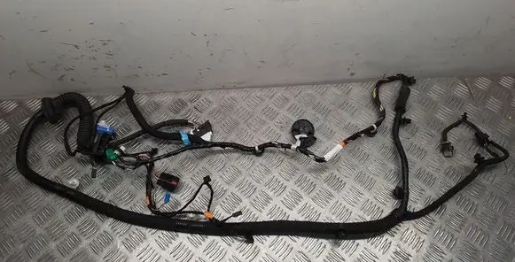Tesla Model 3 Front door wiring loom 148904400D