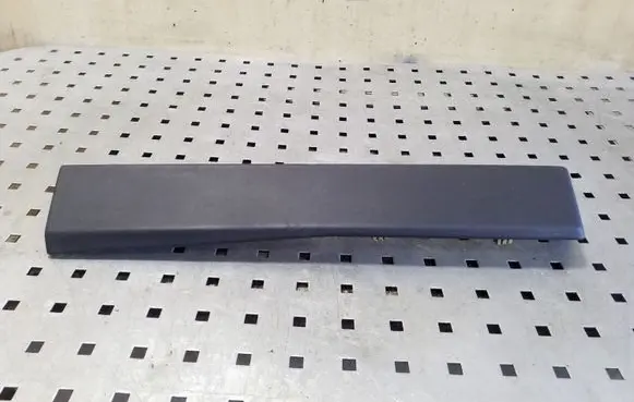 Tesla Model S Panel trim 100230101B