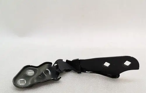 Tesla Model Y Engine bonnet/hood hinges 109879200