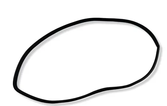 Front door rubber seal