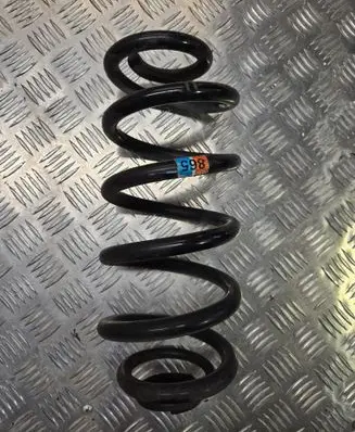Rear coil spring