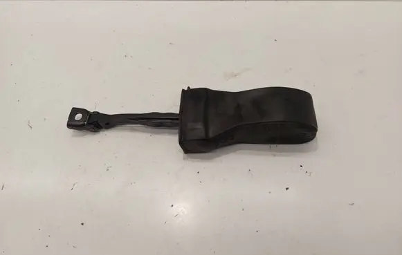 Volkswagen PASSAT B8 Rear door check strap stopper 3G0839267